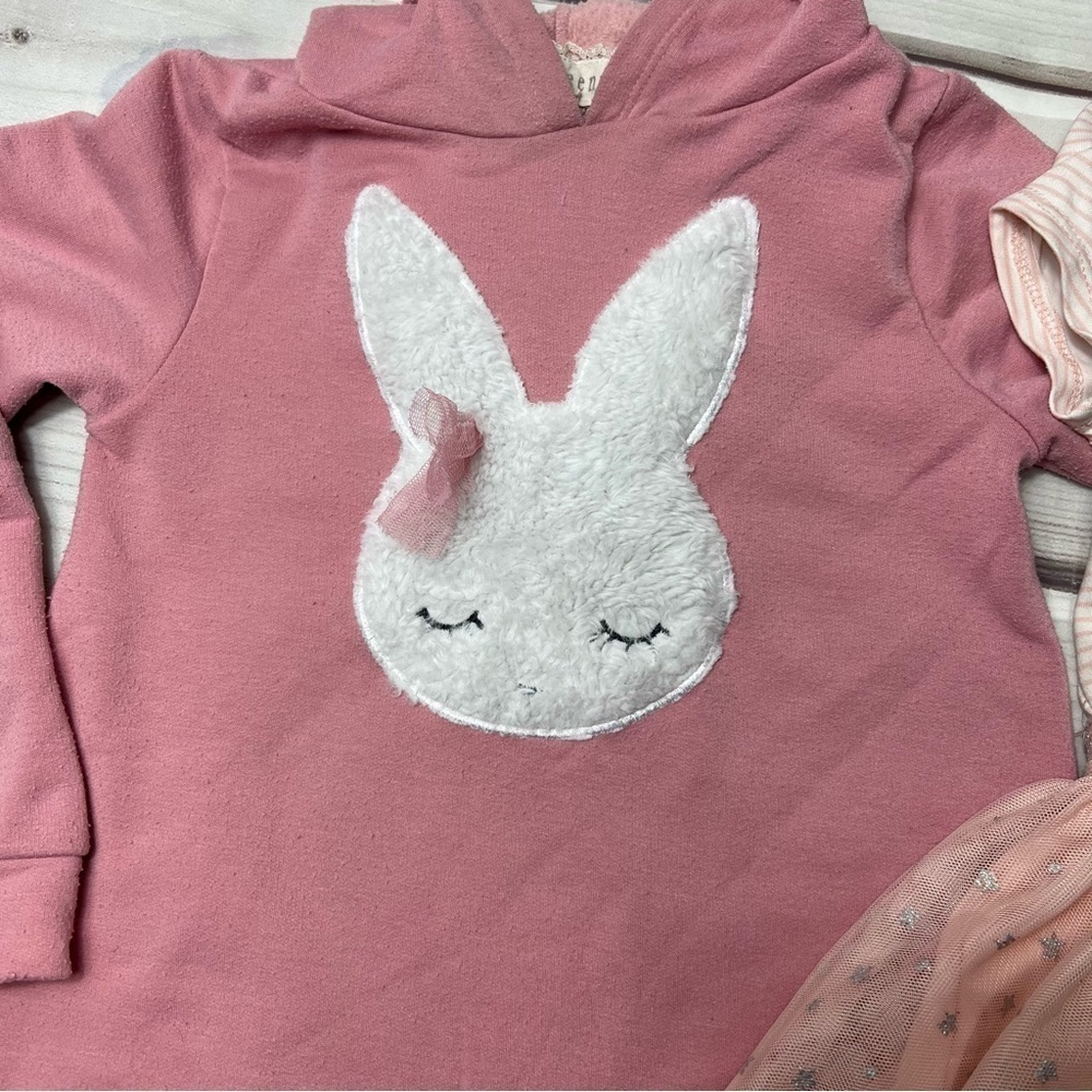 Btween Bunny Dress 4 & Bunny Hooded Sweatshirt 6X - Picture 2 of 6